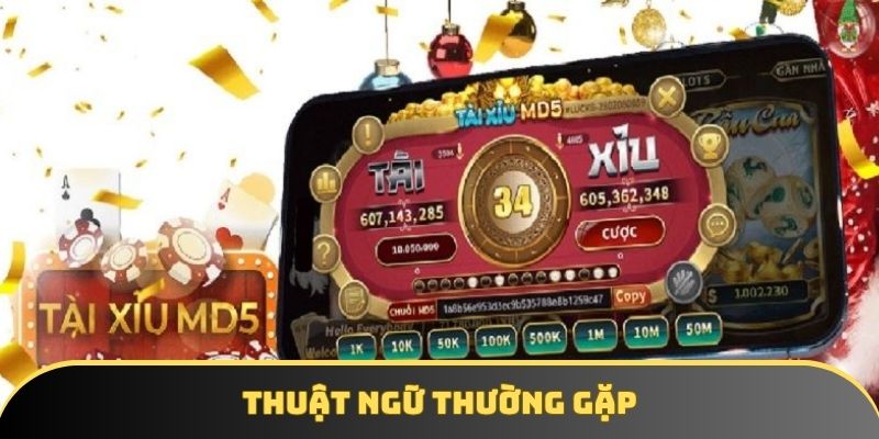 Các thuật ngữ cơ bản hay gặp nhất trong tài xỉu
