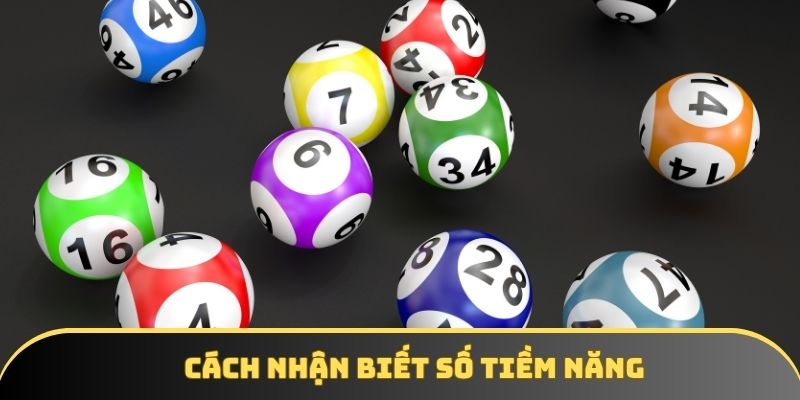 cach giup tan binh nhan biet dau la con so tiem nang Cách giúp các tân binh nhận biết đâu là con tiềm năng