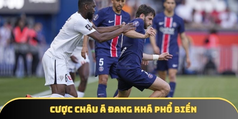 cuoc chau a dang kha pho bien Cược châu Á đang khá phổ biến