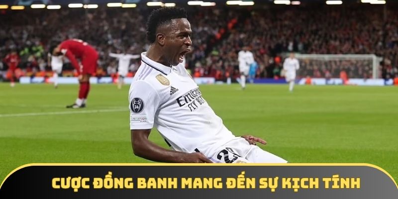 Cược đồng banh mang đến sự kịch tính