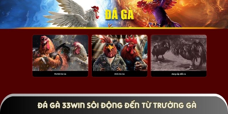 da-ga-33win-mang-khong-khi-soi-dong-den-tu-truong-ga-campuchia Đá gà 33win mang không khí sôi động đến từ trường gà Campuchia