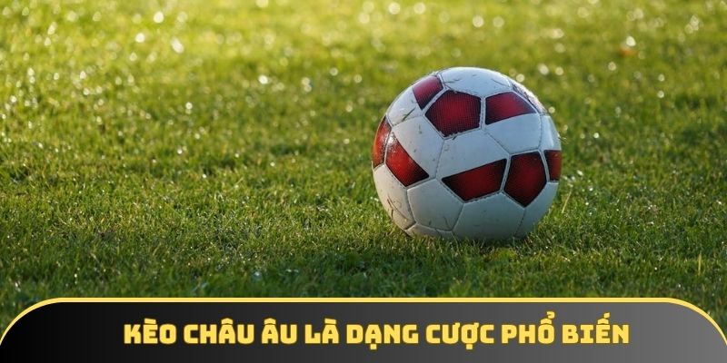 keo chau au dang duoc dong dao nguoi choi quan tam Kèo châu Âu đang được đông đảo người chơi quan tâm