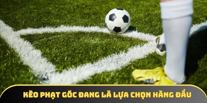 keo phat goc dang la lua chon hang dau Kèo phạt góc đang là lựa chọn hàng đầu