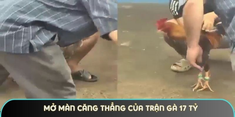 Mở màn căng thẳng của trận gà 17 tỷ