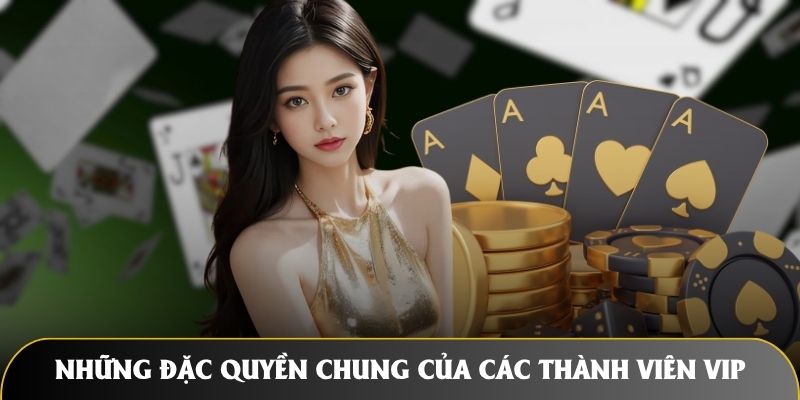 Những đặc quyền chung của các thành viên VIP tại nhà cái