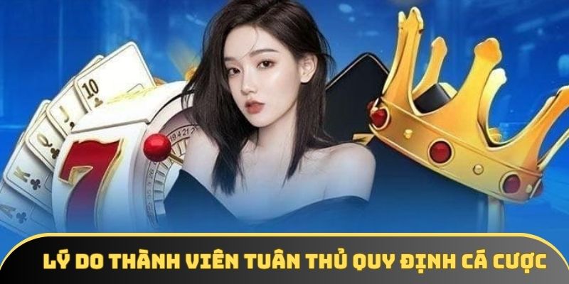 nhung nguyen nhan ban nen tuan theo cac dieu kien Thành viên nên đáp ứng các điều khoản cá cược