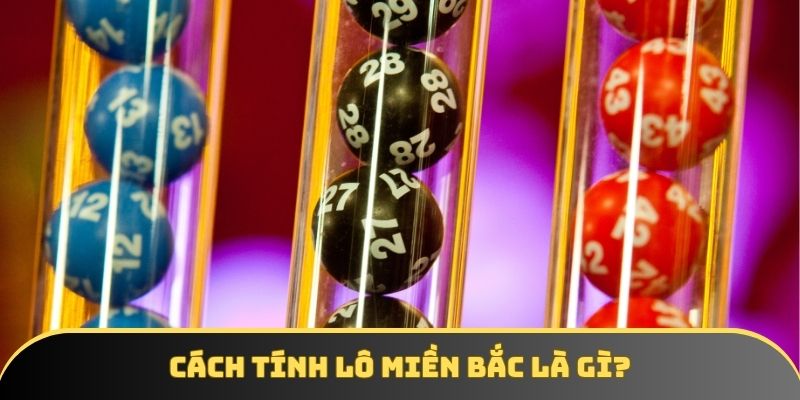 so luoc cach tinh lo mien bac Sơ lược về cách tính lô miền bắc