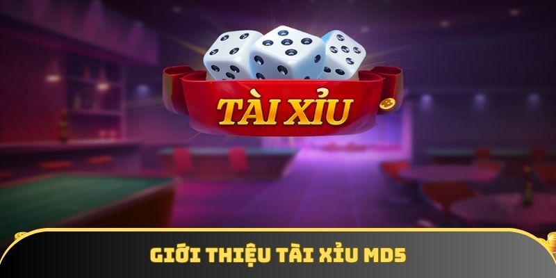 Sơ lược tài xỉu md5