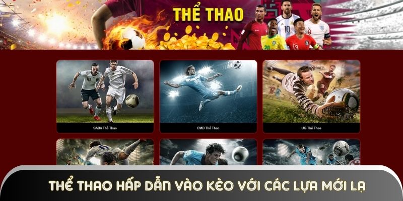 the-thao-hap-dan-vao-keo-voi-cac-lua-moi-la Thể thao hấp dẫn vào kèo với các lựa mới lạ